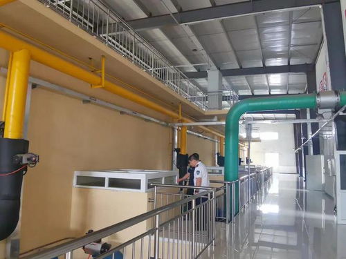 防汛保民生，飲水更無(wú)憂——白溝新城民生保障局全力筑牢供水安全防線